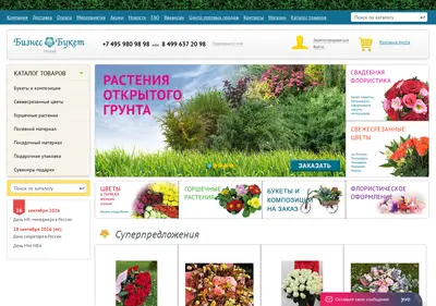 Снимок главной страницы bbcom.ru
