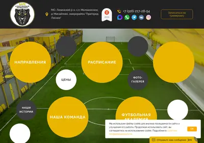 Снимок главной страницы akademia-bars.ru