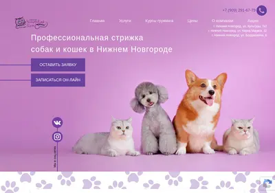 Снимок главной страницы cheshircatnn.ru