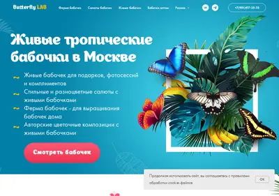 Снимок главной страницы butterflylab.ru