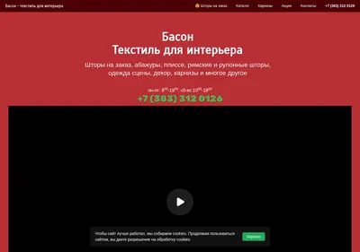 Снимок главной страницы bason.ru