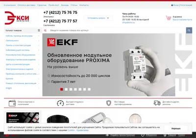 Снимок главной страницы eksi.su