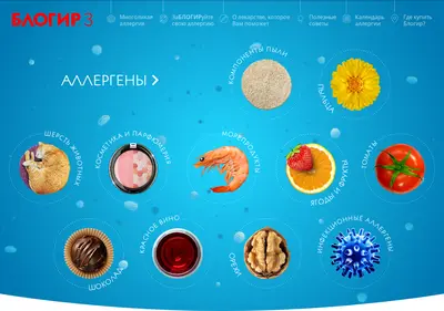 Снимок главной страницы blogir.ru
