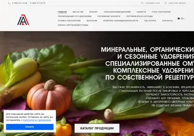 Снимок главной страницы ahzvika42.ru