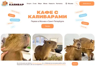 Снимок главной страницы barcapybar.ru