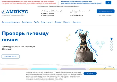 Снимок главной страницы amicus-vet.ru