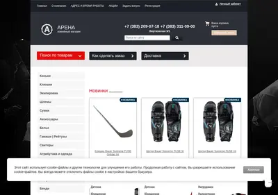 Снимок главной страницы arenahockey.ru