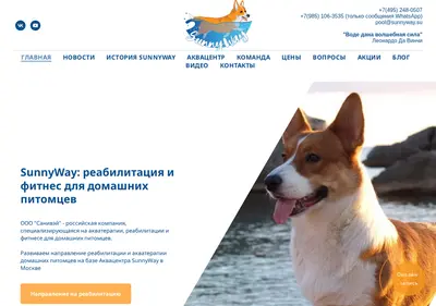 Снимок главной страницы sunnyway.su