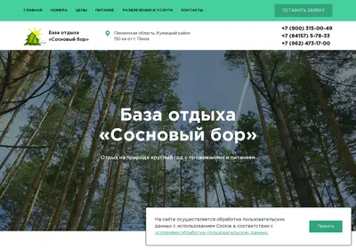 Снимок главной страницы bor58.ru