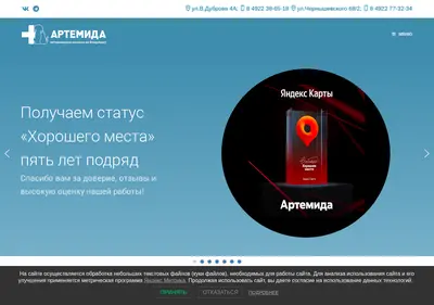 Снимок главной страницы artemida33.ru