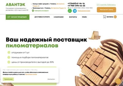 Снимок главной страницы avantek72.ru