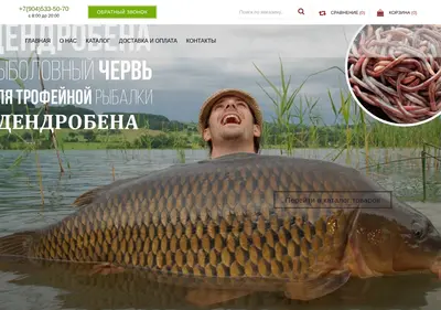 Снимок главной страницы buyworms.ru