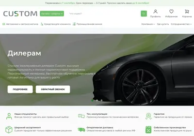 Снимок главной страницы custom.su