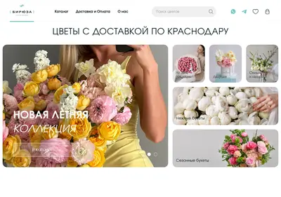 Снимок главной страницы biruzakrd.ru