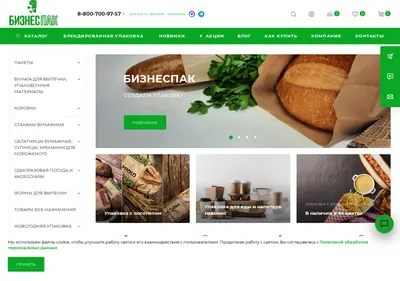 Снимок главной страницы bisnespak.ru