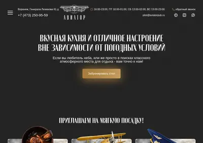 Снимок главной страницы aviatorpub.ru