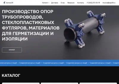 Снимок главной страницы asp59.ru