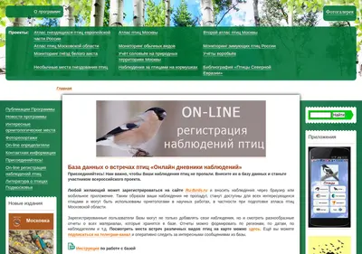 Снимок главной страницы birdsmoscow.net.ru