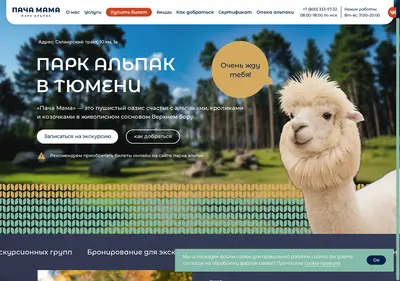 Снимок главной страницы alpakatmn.ru