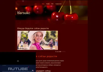 Снимок главной страницы barsukc.ru