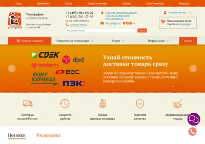 Снимок главной страницы 1pp1.ru