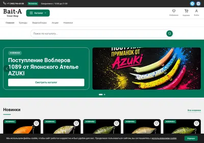 Снимок главной страницы baita.ru