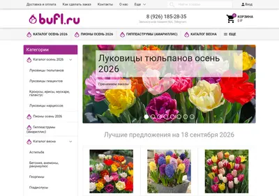 Снимок главной страницы bufl.ru