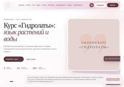Снимок главной страницы aromaschool.ru