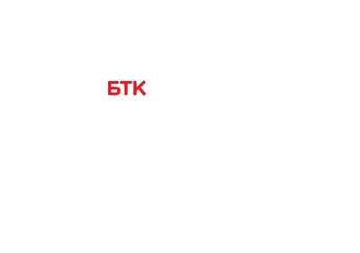 Снимок главной страницы btkcompany.ru