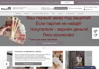 Снимок главной страницы palla.su