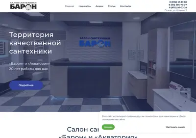 Снимок главной страницы baron60.ru