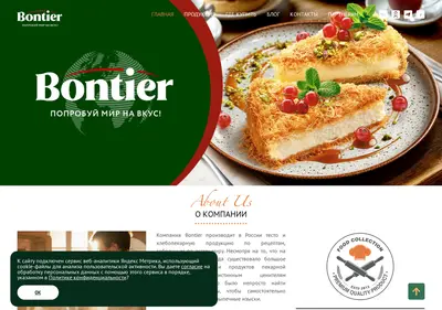 Снимок главной страницы bontier.ru