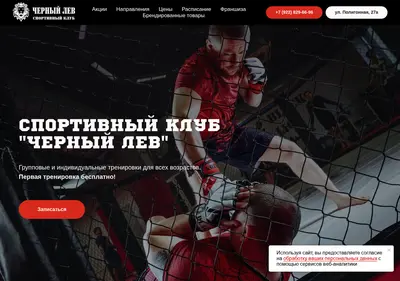 Снимок главной страницы blacklion56.ru