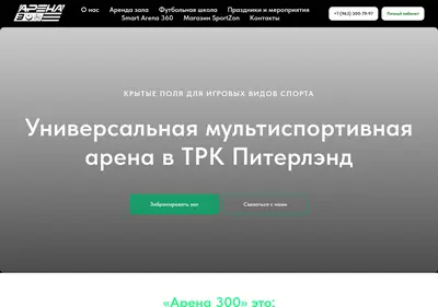 Снимок главной страницы arena300.ru