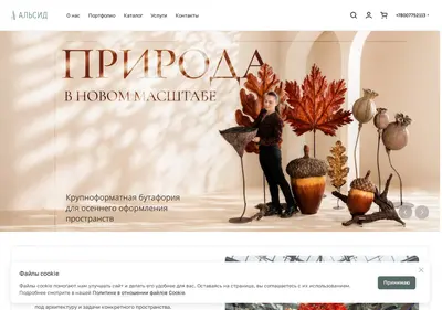 Снимок главной страницы alseedservice.ru