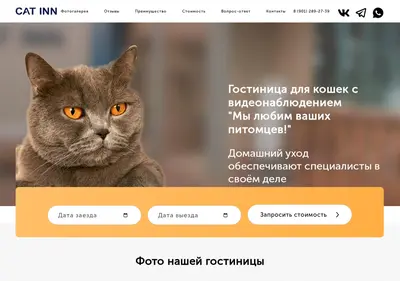 Снимок главной страницы cat-inn.ru