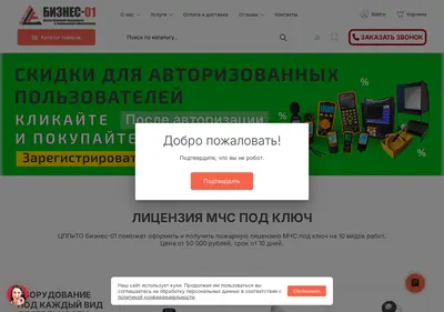 Снимок главной страницы biz01.ru