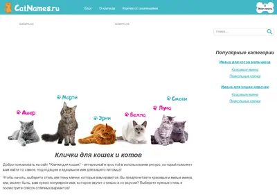 Снимок главной страницы catnames.ru
