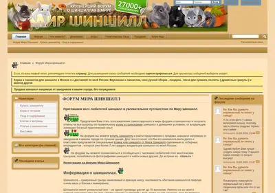 Снимок главной страницы chins.ru