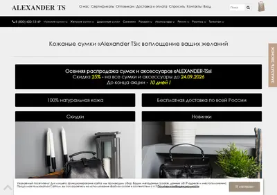 Снимок главной страницы alexander-ts.ru