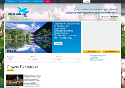 Снимок главной страницы amurvisit.ru