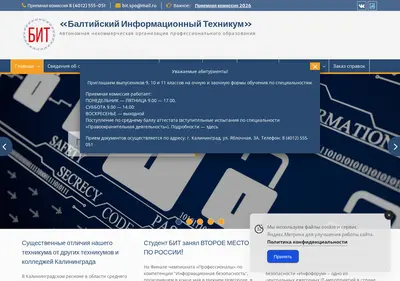 Снимок главной страницы biit39.ru