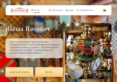 Снимок главной страницы alyoshapopovich.ru