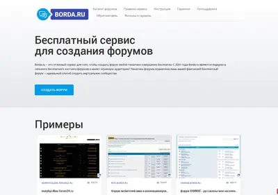 Снимок главной страницы borda.ru