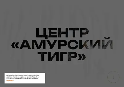 Снимок главной страницы amur-tiger.ru