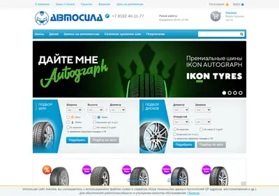 Снимок главной страницы avtosila29.ru