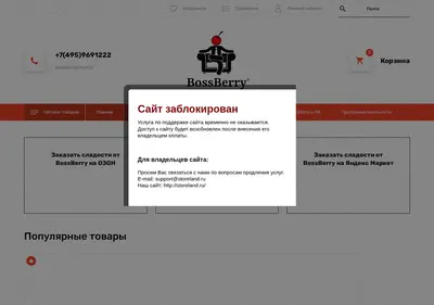 Снимок главной страницы bossberry.ru