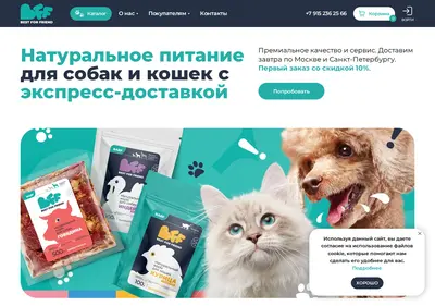 Снимок главной страницы bestforfriend.ru