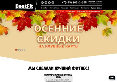 Снимок главной страницы bestfit.su