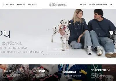 Снимок главной страницы benderfrai.ru